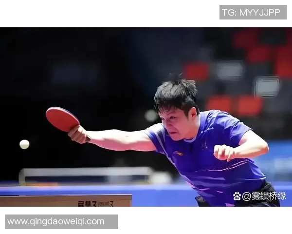 樊振东与王励勤的巅峰对决乒乓球传奇的传承与创新之战