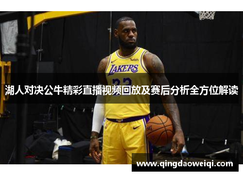 湖人对决公牛精彩直播视频回放及赛后分析全方位解读